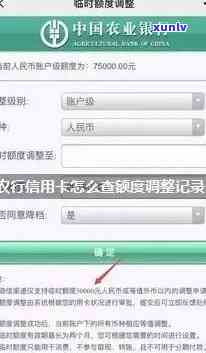 农业银行的逾期查询怎么查，怎样查询农业银行的逾期记录？