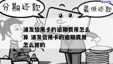 浦发逾期费用怎么算出来的，详解浦发银行逾期费用的计算  