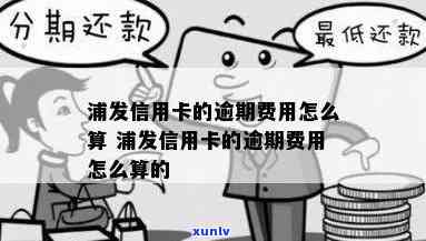 浦发逾期费用怎么算-浦发逾期费用怎么算出来的