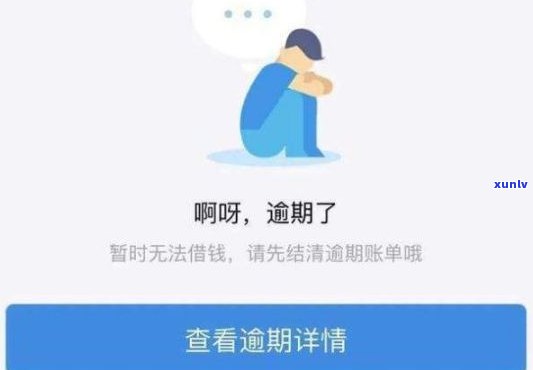 浦发备用金逾期会有什么结果？详解可能的作用与解决方案