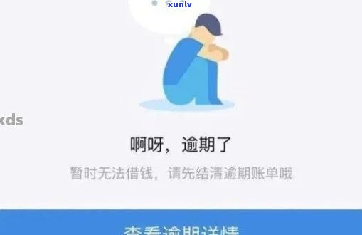 浦发备用金逾期会有什么结果？详解可能的作用与解决方案