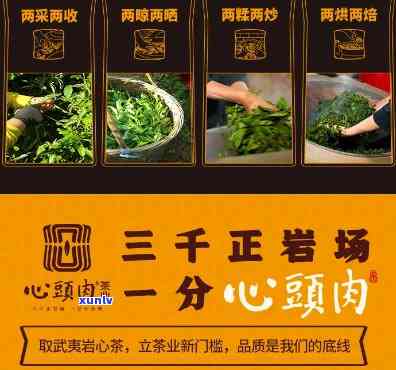 心头肉茶叶是哪家厂-心头肉茶叶是什么