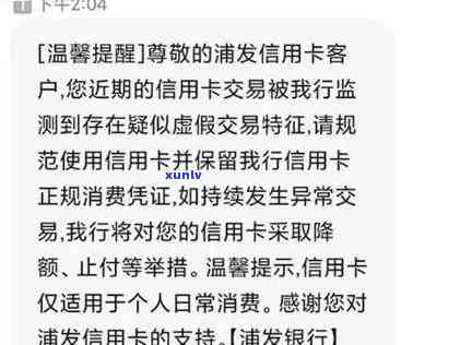 云南老班章普洱茶官网：品鉴正宗古树普洱茶的全方位指南与购买渠道