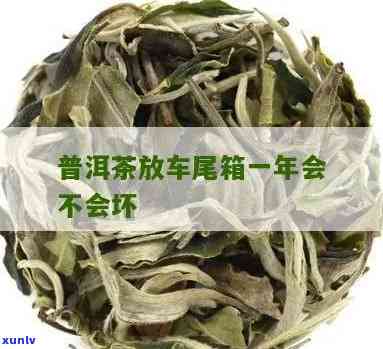 茶叶放在后备箱会坏吗，茶友必看！后备箱保存茶叶的正确 *** ，避免变质！