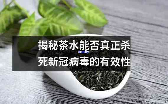 茶叶水真的能杀死病吗？科学解析与实验视频