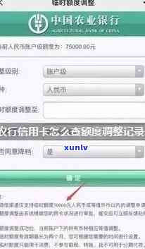怎样查询中国农业银行逾期贷款记录？