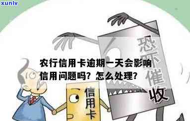 农业信用币逾期一天怎样，怎样解决农业信用币逾期一天的疑问？