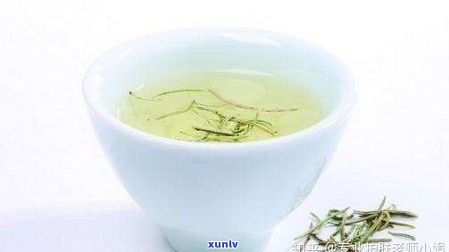 普洱生茶是什么茶