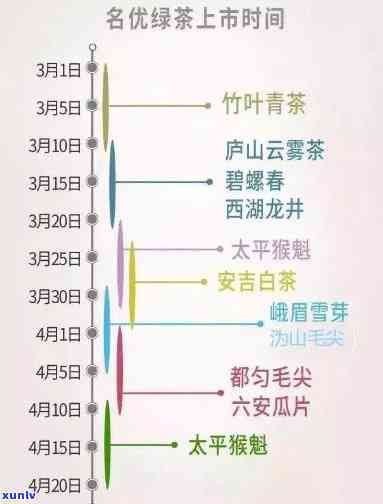 龙岗中心城茶叶市场营业时间表：详细开放时间一览