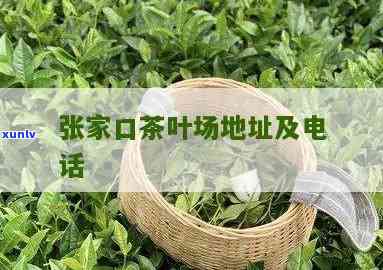 张家港茶叶场-张家港茶叶场地址