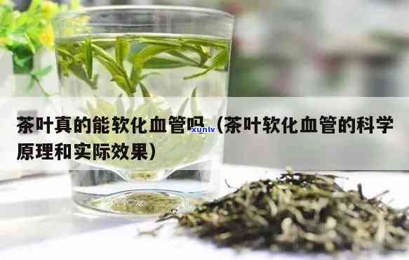 茶叶可以软化血管吗？探讨其科学依据与效果