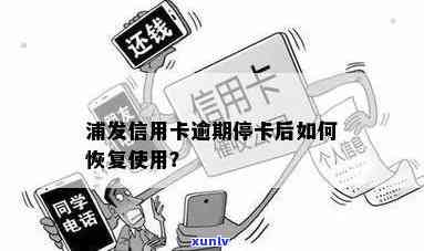 浦发逾期15天停卡？解决方案全在这！