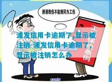 浦发逾期被销卡申请-浦发逾期被销卡申请期还款