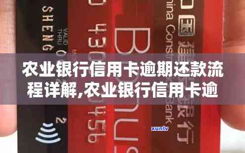 农业银联购物卡逾期怎么办，逾期未还款？教你如何处理农业银联购物卡的问题