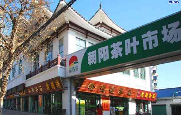 阳中原路茶叶市场-阳中原路茶叶市场地址