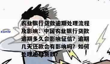 农业银行逾期怎么办？逾期利息及处理 *** 全解析