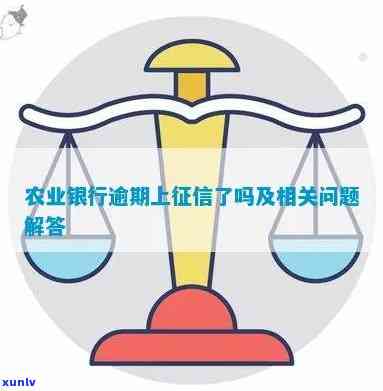 农业逾期是什么意思-农业逾期几天上