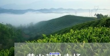 黄山市屯溪茶叶市场位置详细地图及地址查询