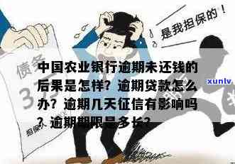 农业银行快捷贷逾期会怎么样？结果及解决  全解析