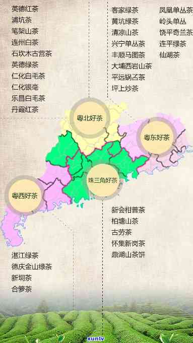 汕头市茶叶场-汕头市茶叶场在哪里?