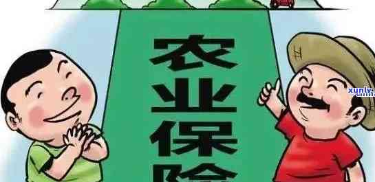 农业保险逾期怎么办理，农业保险逾期解决指南：步骤详解