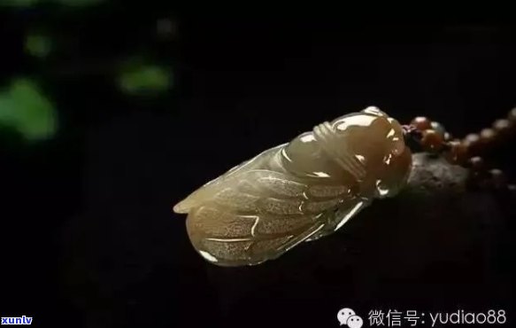 深入理解：金蝉玉雕的寓意及其象征意义