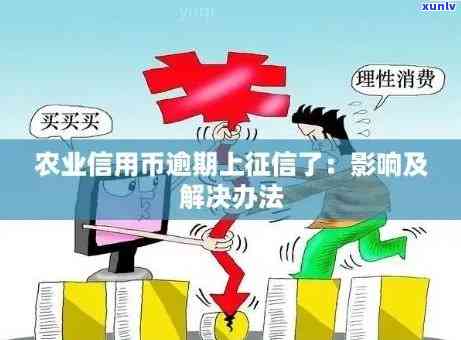 农业信用币逾期2年-农业信用币逾期2年会怎样