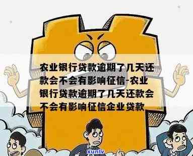 逾期影响农业贷款吗-逾期影响农业贷款吗知乎