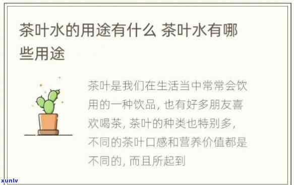 每天都喝茶叶水的作用与功效解析