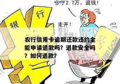 农业银行逾期还款违约金可否撤销？详细解析