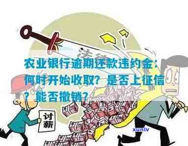 农业银行逾期还款违约金可否撤销？详细解析