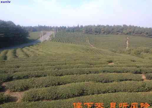 去南环茶叶场-去南环茶叶场坐几路车