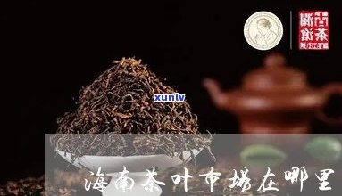 海南更大的茶叶市场-海南更大的茶叶市场在哪里