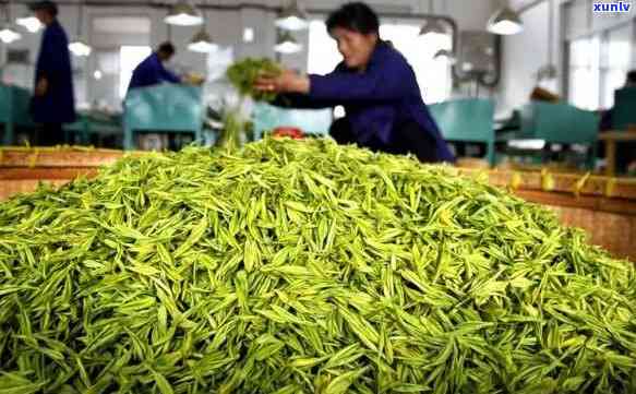 江西更大的茶叶市场-江西更大的茶叶市场在哪里