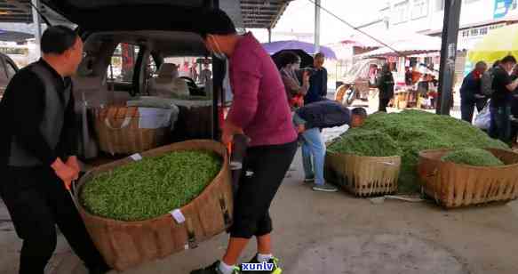 峨眉山卖茶叶的市场地址，寻找峨眉山优质茶叶？了解市场地址不可错过！