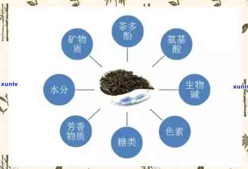 茶对影响的研究：探讨其相互作用与可能的副作用