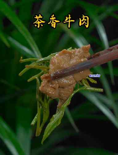 茶叶能与牛肉同煮吗？适合宝宝食用吗？