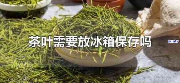 茶叶天要放冰箱吗，天到了，你的茶叶应该放在冰箱里吗？