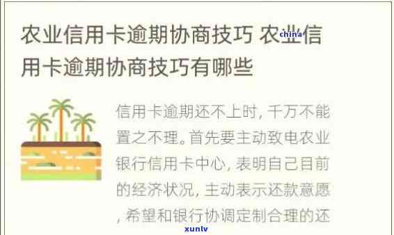 农行逾期多久，如何查询农行信用卡逾期时间？