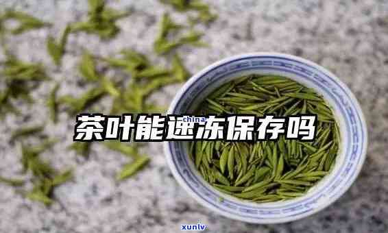 包装好的茶叶可以冷冻吗，茶叶冷冻：包装好的茶叶是否可以冷藏保存？