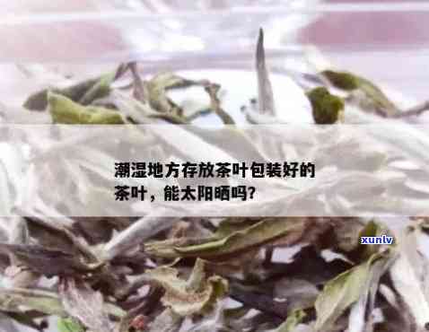 包装好的茶叶可以晒太阳吗？影响及保质期解析