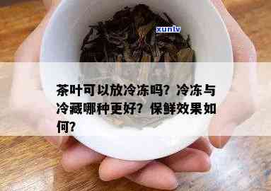 包装好的茶叶怕冻吗-包装好的茶叶可以冷冻吗