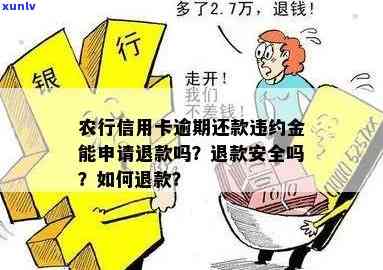 逾期还款违约金农业-农行逾期还款违约金