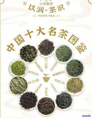 味之源茶叶是茗茶吗-味之源茶叶是名茶吗