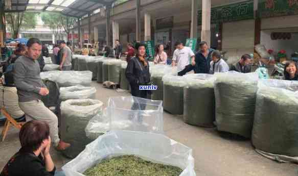 老班章茶饼价格：了解其品质、产地以及购买途径的全面指南