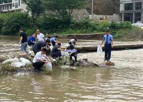 黔西南茶叶基地，黔西南：绿色茶园成为乡村振兴新引擎