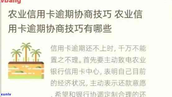 因逾期农业银行能办卡吗，影响下，农业银行能否为逾期用户办理信用卡？