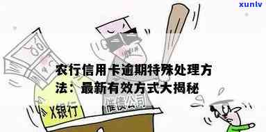 因逾期农业银行怎么办？期间特殊解决方法解析