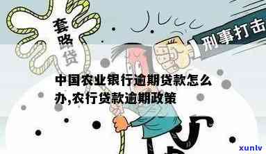 农业贷款逾期还不上-农业贷款逾期还不上怎么办