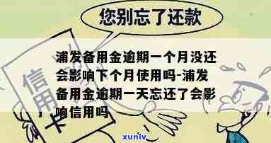 浦发备用金逾期一个月没还会怎样作用下月采用？逾期一天会损害信用吗？